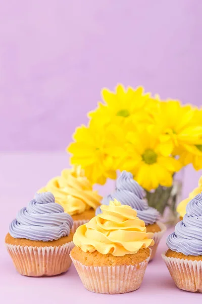 Cupcakes decorated with yellow and violet cream and chrysanthemums on violet pastel background. Copyspace area. Can be used for greeting, mothers days and valentines card. Minimalism concept.