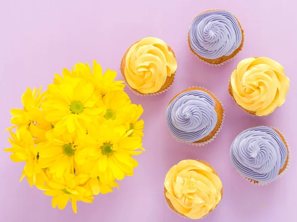 Cupcakes decorated with yellow and violet cream and chrysanthemums on violet pastel background. Copyspace area. Can be used for greeting, mothers days and valentines card. Top view concept.