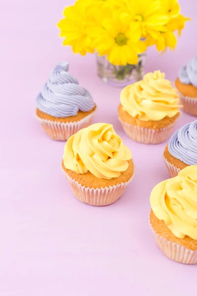 Cupcakes decorated with yellow and violet cream and chrysanthemums on violet pastel background. Copyspace area. Can be used for greeting, mothers days and valentines card. Minimalism concept.