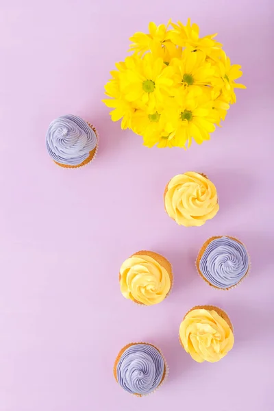 Cupcakes decorated with yellow and violet cream and chrysanthemums on violet pastel background. Copyspace area. Can be used for greeting, mothers days and valentines card. Top view concept.