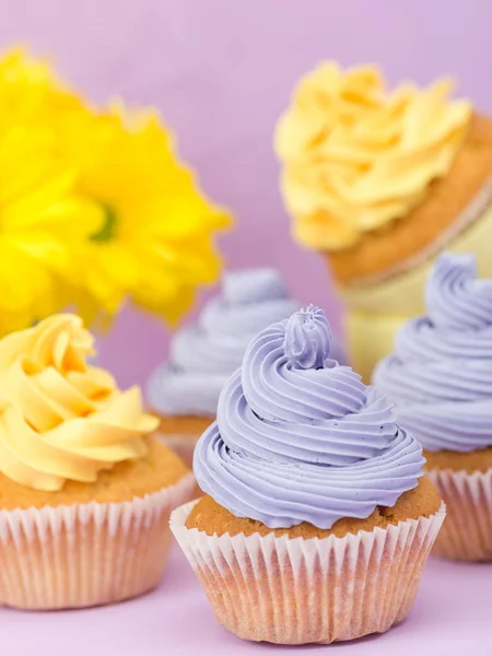 Cupcakes decorated with sweet yellow and violet cream and chrysanthemums on violet pastel background. Copyspace area. Can be used for greeting, mothers days and valentines card. Minimalism concept.