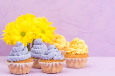 Cupcakes sarı ve mor krem ve Kasımpatı Menekşe pastel arka plan üzerinde buket ile dekore edilmiştir. Metin alanı. Tebrik için ideal anneler gün ve Sevgililer kartı. En az natürmort kavramı.