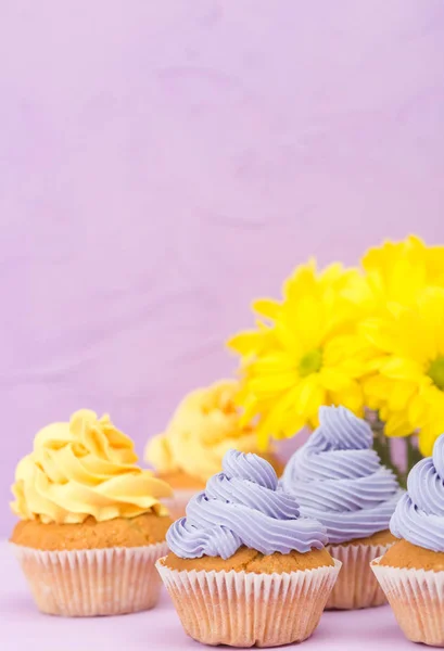 Cupcakes decorated with yellow and violet cream and bouquet of chrysanthemums on violet pastel background. Text area. Ideal for greeting, mothers days and valentines card. Minimal still life concept.