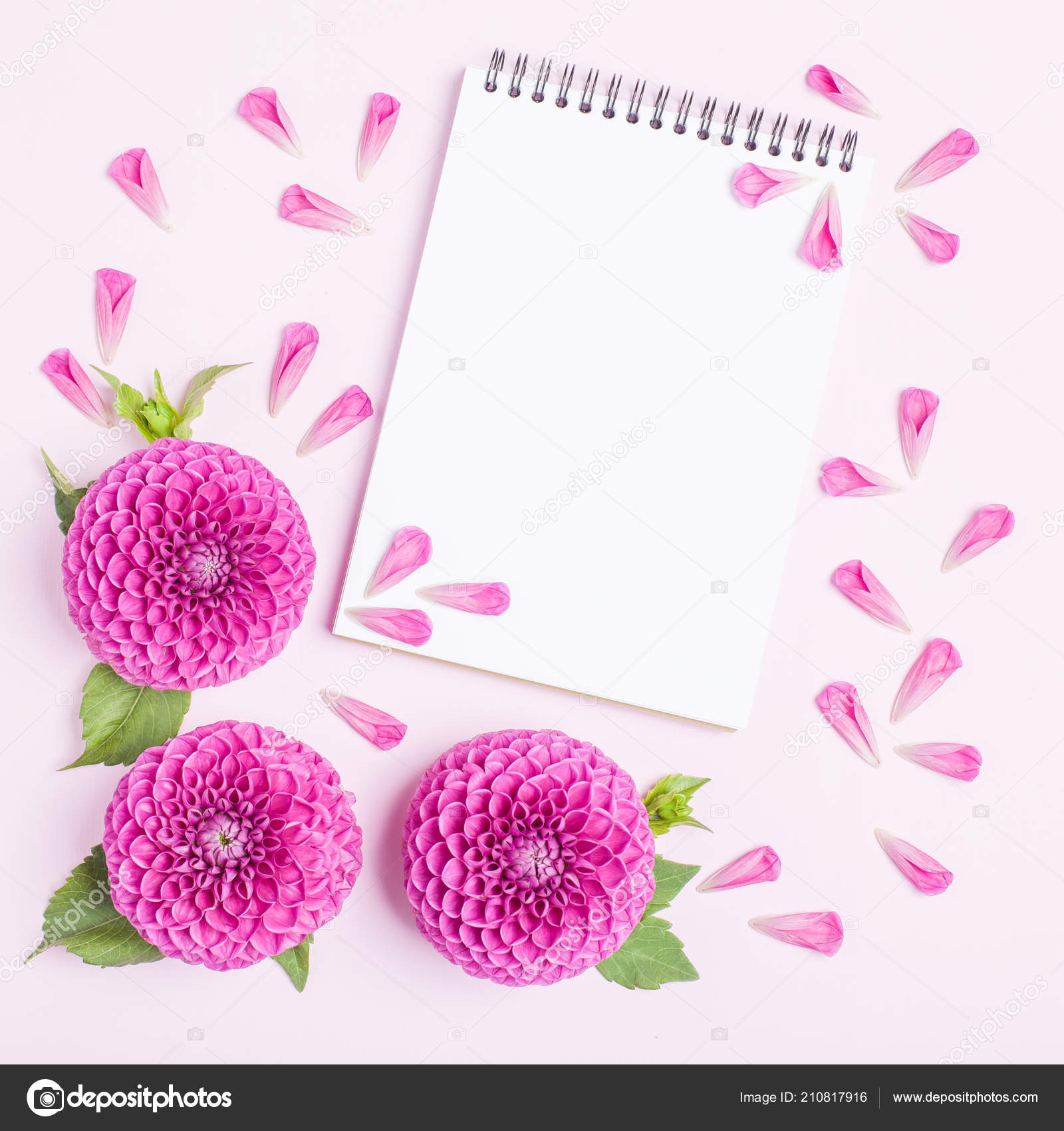 floral and petals