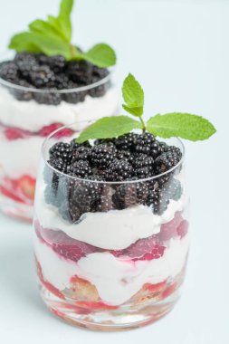 Taze sağlıklı çok katmanlı tatlı önemsememek ahududu ve böğürtlen pastel mavi arka plan ile. Süt ve orman meyve - closeup fotoğrafçılık ile organik tatlı gıda.