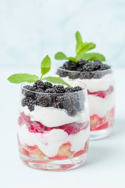 Taze sağlıklı çok katmanlı tatlı önemsememek ahududu ve böğürtlen pastel mavi arka plan ile. Süt ve orman meyve - closeup fotoğrafçılık ile organik tatlı gıda.