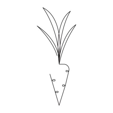 Havuç düzenlenebilir sürekli çizgi vektör çizim - olgun sebze organik Eko yiyecek dükkanı logo veya dekorasyon için beyaz arka plan üzerinde izole tek çizgi çizme.