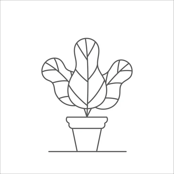 Houseplant linha editável vetor ilustração contorno planta interior com três folhas grandes em vaso de plantas . —  Vetores de Stock