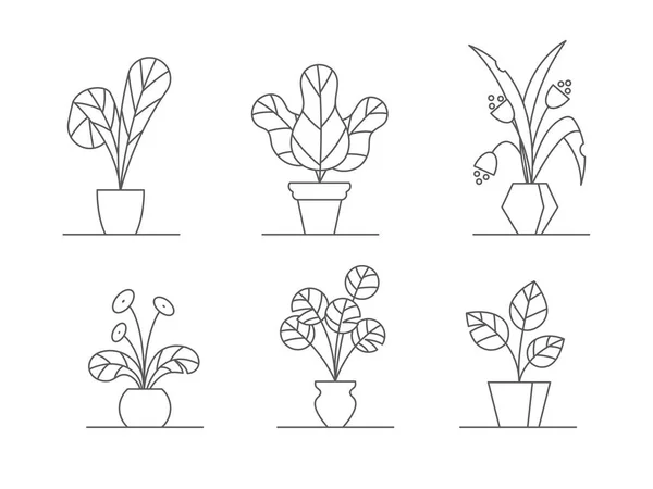 Houseplants illüstrasyon set vektör - tencere ile anahat kapalı çiçek yaprakları ve çiçek tasarım için beyaz arka plan üzerinde izole hat sanatında çiçekleri.