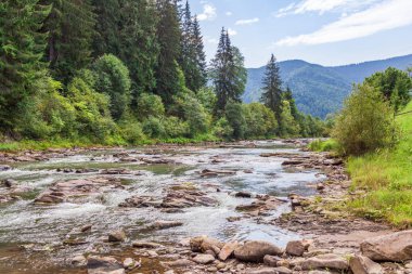 Su tepeler yeşil ağaçlar ve ladin ormanla çevrili dağ nehir büyük taşlar ve hızlı akan.