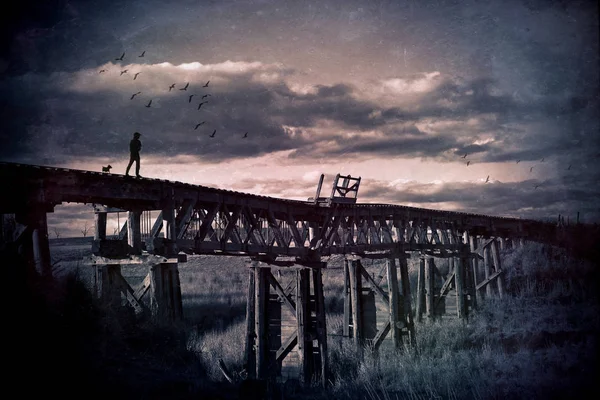 Samotny Człowiek Jego Pies Wędrować Przez Opuszczone Drewniane Kolejowy Most — Zdjęcie stockowe