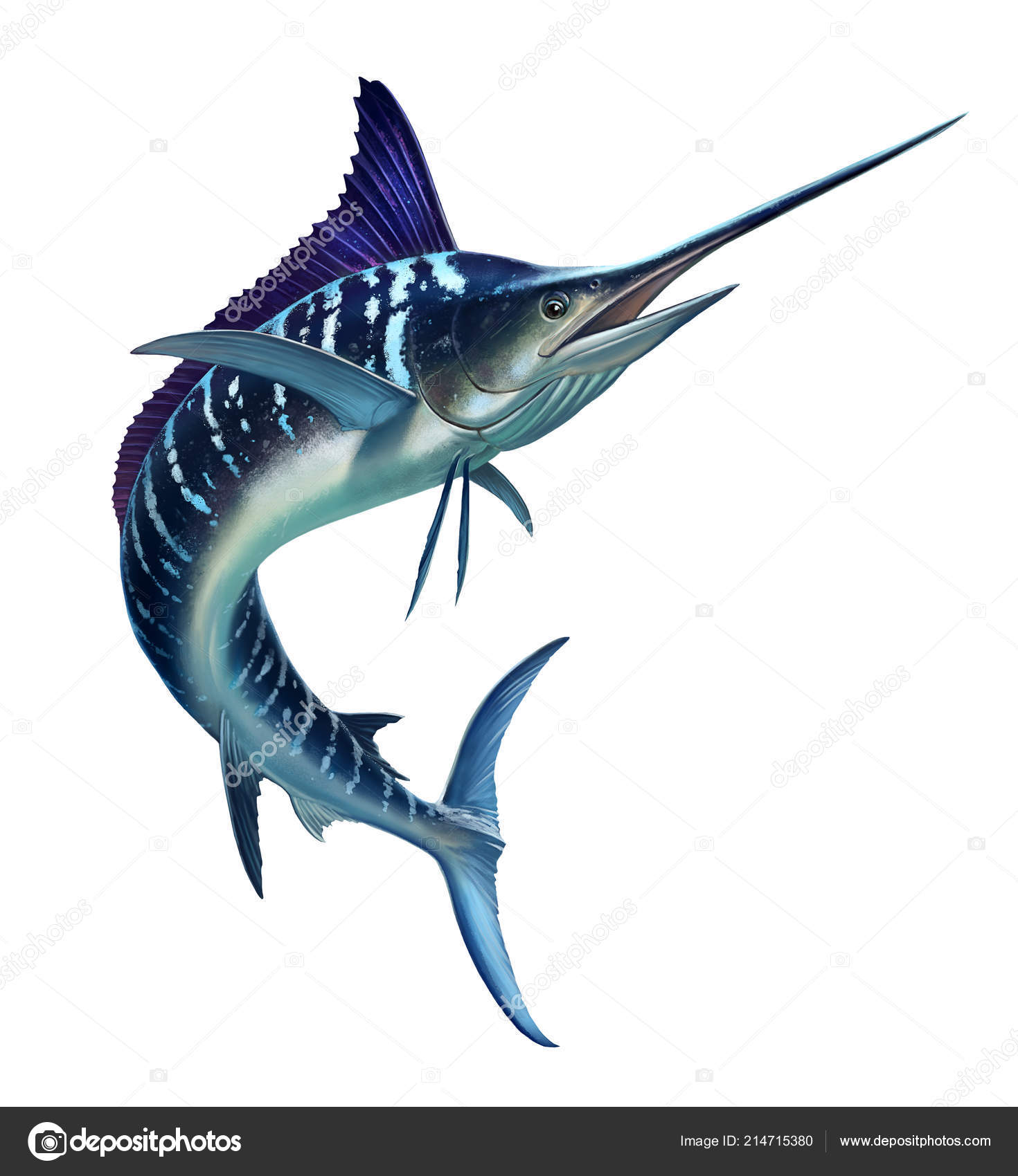 Striped Marlin White Fish Sword Stock Photo by