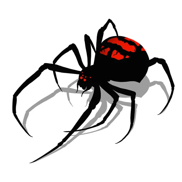 黑寡妇蜘蛛在白色背景现实插图是 — 图库照片