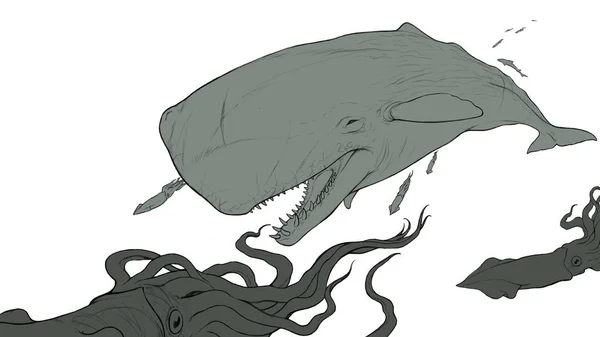Big sperm whale realistic illustration sketch flat isolate. — 图库照片