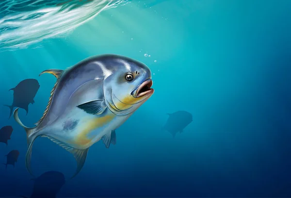 Permettere Pesce Sul Bianco Trachinotus Blochii Permettere Pesce Sfondo Illustrazione — Foto Stock