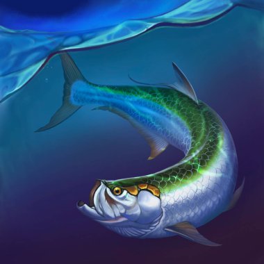 Tarpon büyük balığı suyun altında. Atlantik Tarpon.