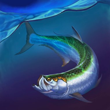 Tarpon big fish under water. Atlantic Tarpon. clipart