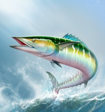 İspanyol uskumrusu wahoo yeşil balık beyaz gerçekçi resimde büyük balık. Okyanus usundaki büyük uskumru yeşil yırtıcı balık. Ağzı açık ve kare biçiminde..