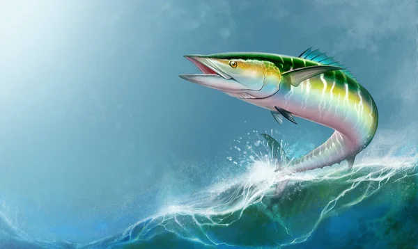 西班牙鲭鱼哇绿鱼大鱼白色现实的例子 海洋大型鲭鱼绿色掠食性鱼 开口背景宽 波浪水平型 — 图库照片