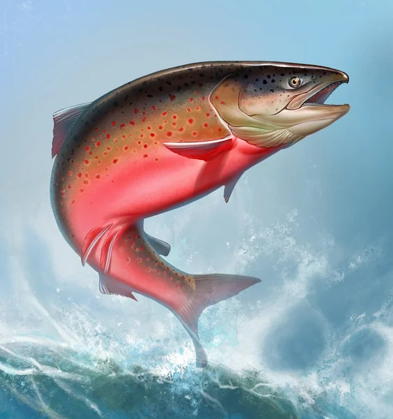 大西洋鲑鱼或粉红鲑鱼背景在海浪现实中的例证 红色鲑鱼 在河北钓鱼 褐色鳟鱼正方形格式 — 图库照片
