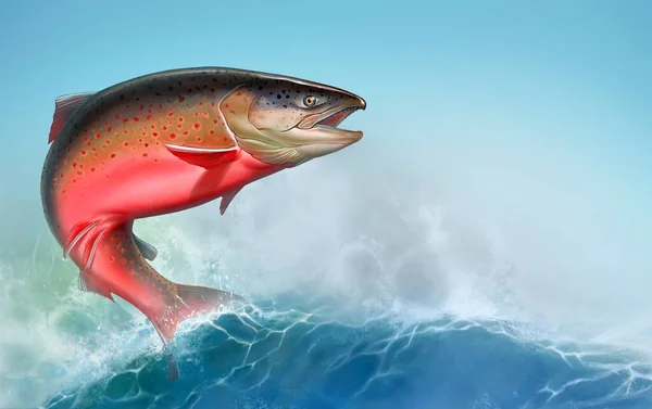 Atlantic salmon or pink salmon background on waves realismc illustration. Red salmon. Fishing on the river northern fish. Brown trout horizontal format. — Stock Image Atlantic Salmon Pink Salmon Background Waves Realismc Illustration Red Salmon Royalty Free Stock Photos