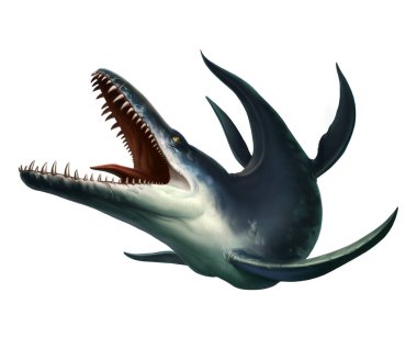Kronosaurus, dinozorların karada dolaştığı ilk Kretase döneminde okyanusta yaşamış bir deniz sürüngenidir. Bir tür pliosaur.. 