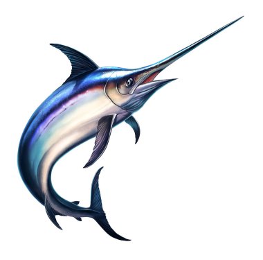 Beyaz arka planda balık kılıcı. Marlin sudan atlıyor..