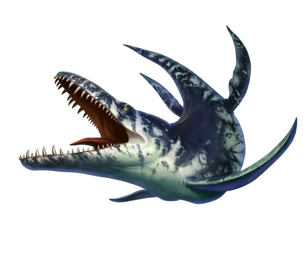 龙是一种海洋爬行动物 生活在白垩纪早期恐龙生活的海洋中 — 图库照片