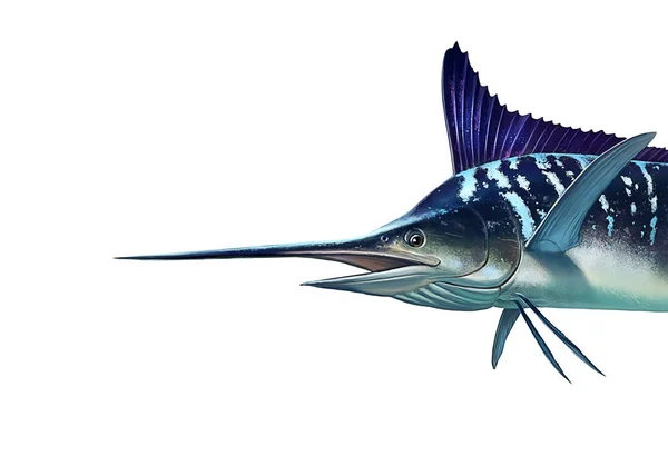 Marlin Rayado Blanco Espada Pescado Ilustración Realista Aislada Cabeza Espada —  Fotos de Stock