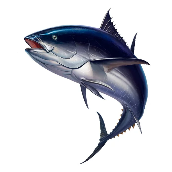 Tonfisk Snabb Rörelse Realistisk Illustration Stor Fisk Vit Bakgrund Isolat — Stockfoto