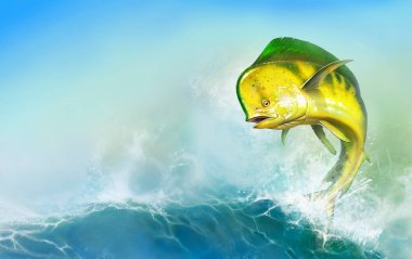 Mahi mahi yellow or dolphin fish on sea wave. Big dorado fish yellow-green realistic background illustration. Horizontal background mobile version of the sea wave sunny day place for text. clipart