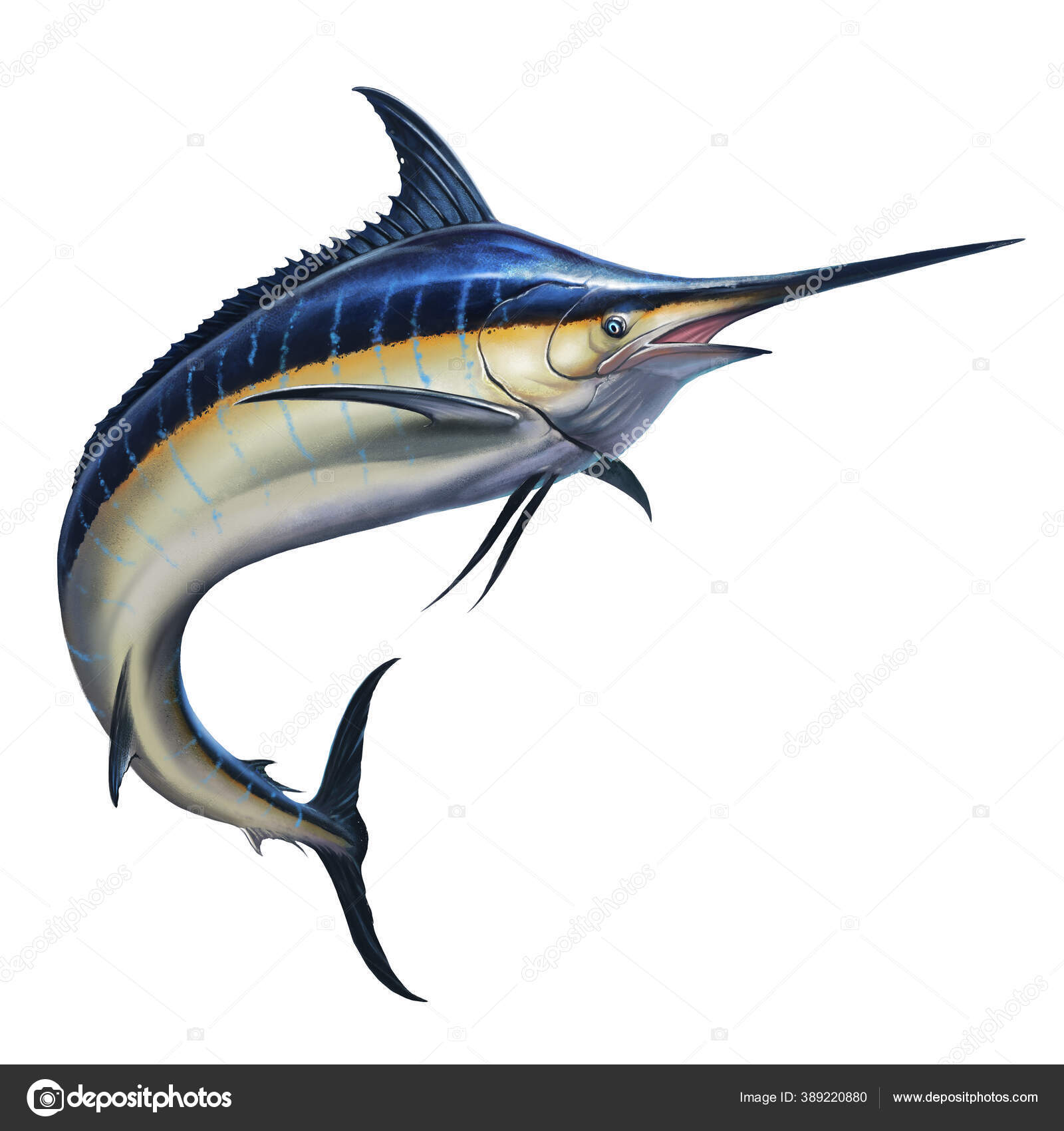 Big Black Marlin Jumps Out Sea Black Swordfish Extreme ...