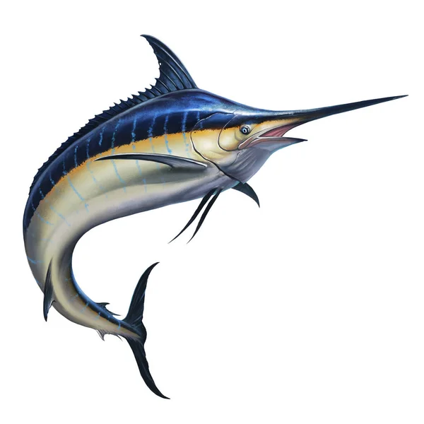 Stor Svart Marlin Hoppar Upp Havet Svart Svärdfisk Extrem Fiske — Stockfoto