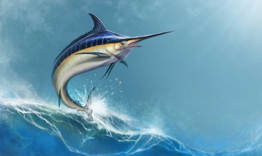 Büyük siyah kılıçbalığı arka planda deniz dalgaları sıçrıyor. Kara Kılıçbalığı açık denizlerde aşırı avlanır. Tropiklerde ve hobilerde tatiller.