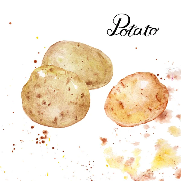 Potatoes Root Vegetable Watercolor Illustration Sketch Splashes Splatters White Background — Stock Photo, Image