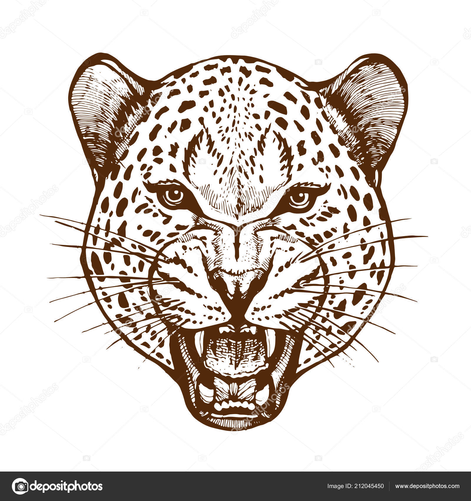 Download Roaring Leopard Head Bared Teeth Animal Portrait Ink Sketch Hand Vector Image By C Nado Krasivo Vector Stock 212045450
