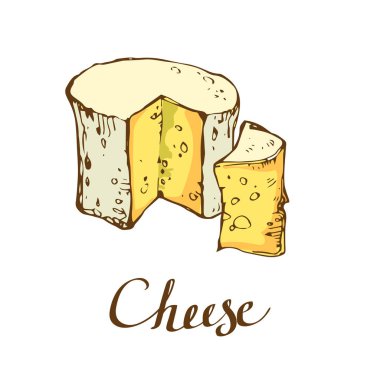 Peynir mürekkep kroki elle çizilmiş hisse senedi vektör illüstrasyon izole beyaz arka plan üzerinde