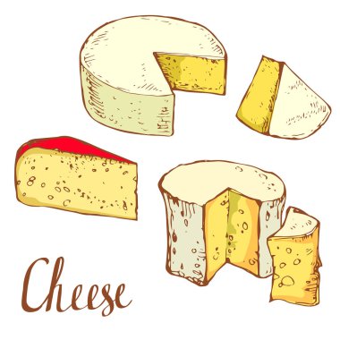 Peynir toplama set çekilmiş hisse senedi vektör illüstrasyon izole mürekkep kroki el Beyaz arka plan üzerinde