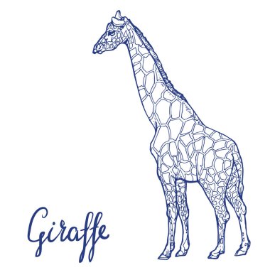 Zürafa Afrika hayvan hat sanatı el kitabı sayfa boyama için hisse senedi vektör illustraion beyaz arka plan üzerinde izole çizilen mürekkep kroki