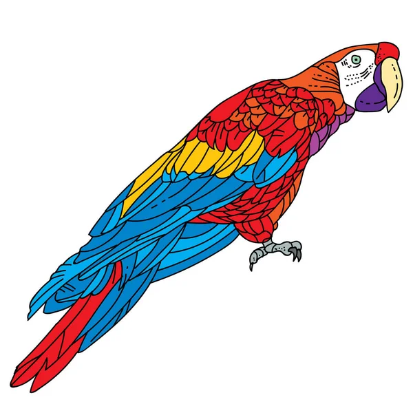 Papegoja Ara Färgglada Tropiska Fågeln Lager Vektorillustration För Boken Målarbok — Stock vektor