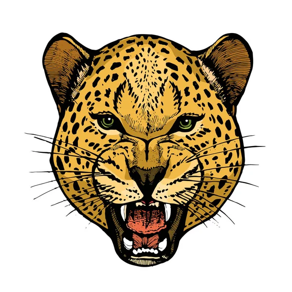 Cabeza Leopardo Rugiente Con Dientes Desnudos Retrato Animal Colorido Ilustración — Vector de stock