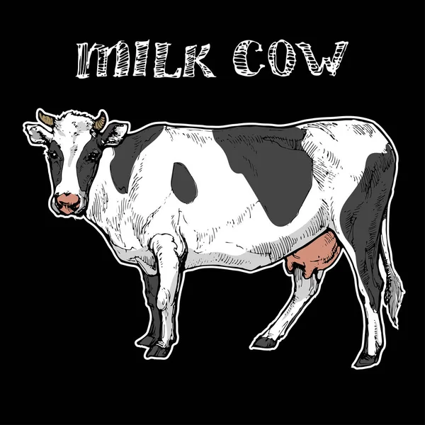 Milchkuh Tier Auf Schwarzem Hintergrund Tusche Skizze Handgezeichnet Stock Vektor — Stockvektor