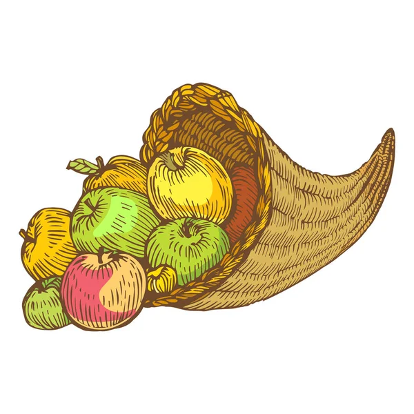 Cornucopia Cuerno Abundancia Con Frutas Manzanas Dibujado Mano Vector Ilustración — Vector de stock