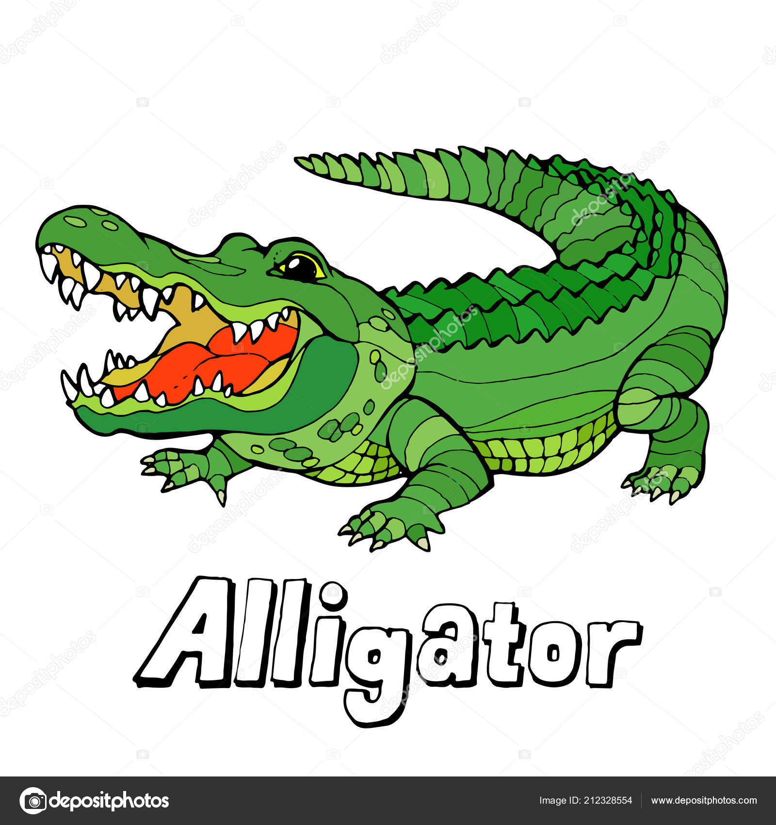 Alligator cartoon Vector Art Stock Images | Depositphotos