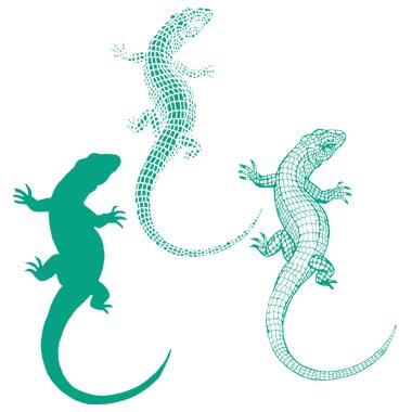 Lizard reptile line art and silhouette collection set hand drawn vector sketch ink illustration on white background clipart