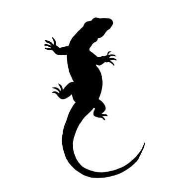 Lizard reptile outline black silhouette illustration on white background clipart