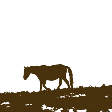 At siluet çayır vektör çizim üzerinde