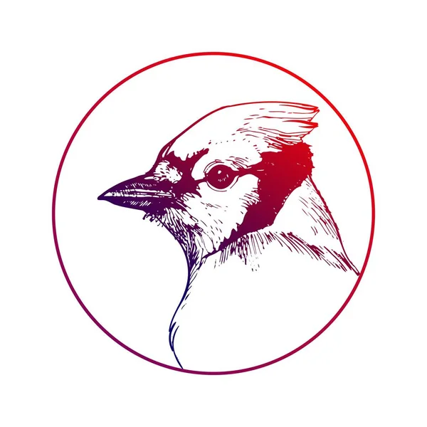 Кардинальная Линия Головы Птицы Художественный Портрет Ручной Работы Векторной Иллюстрации — стоковый вектор