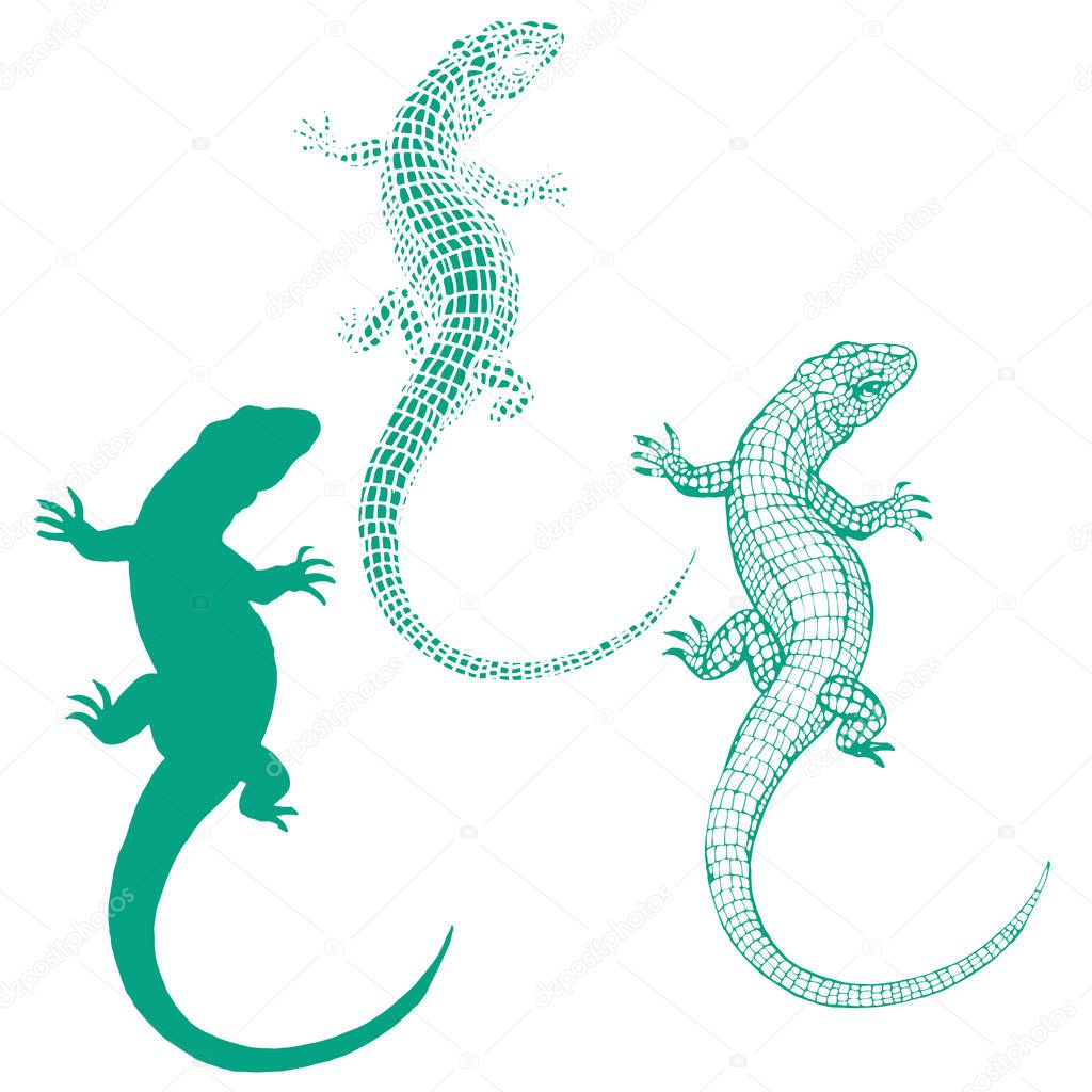 Lizard reptile line art and silhouette collection set hand drawn vector sketch ink illustration on white background