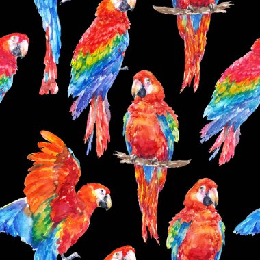 Renkli papağan tropik kuş suluboya resim sorunsuz arka plan